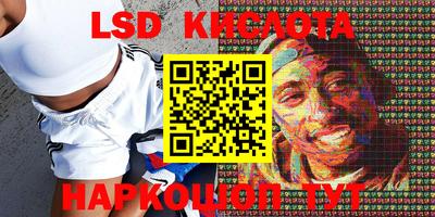 индика Заволжье