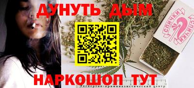 индика Заволжье