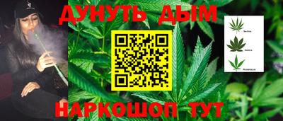 шишки Жуковский