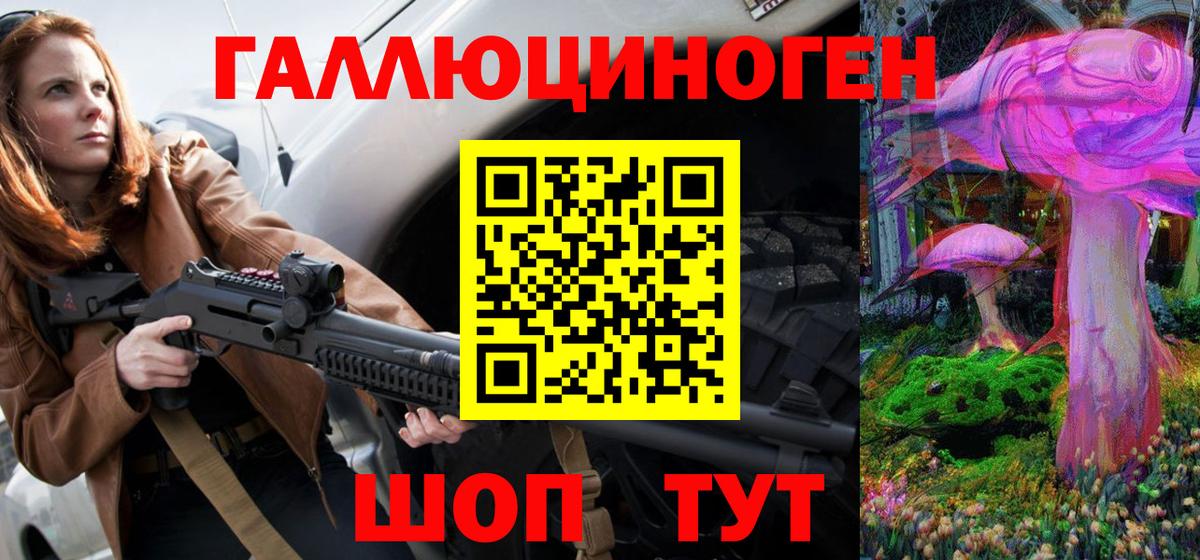 Псилоцибиновые грибы Psilocybe  Вход с VPN  Майкоп 