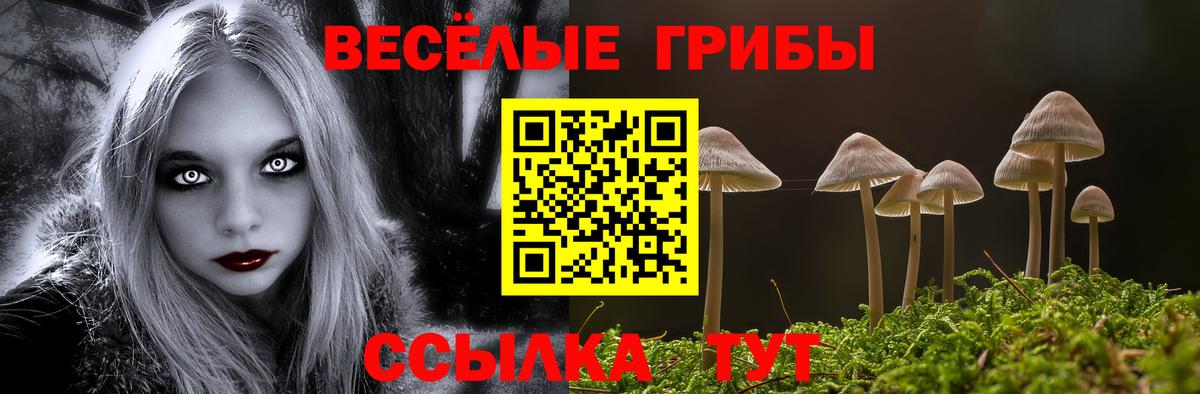 Псилоцибиновые грибы мицелий Майкоп